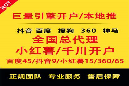 某企业通过SEM实现品牌与销售双增长的案例